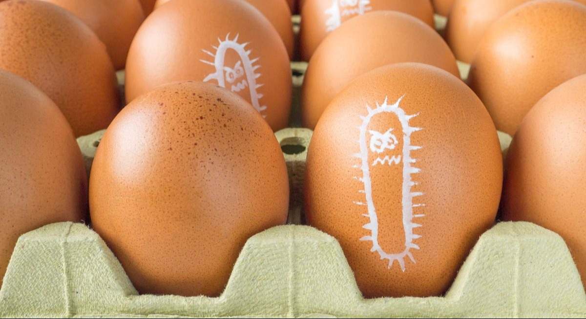 Huevos con peligro de salmonela