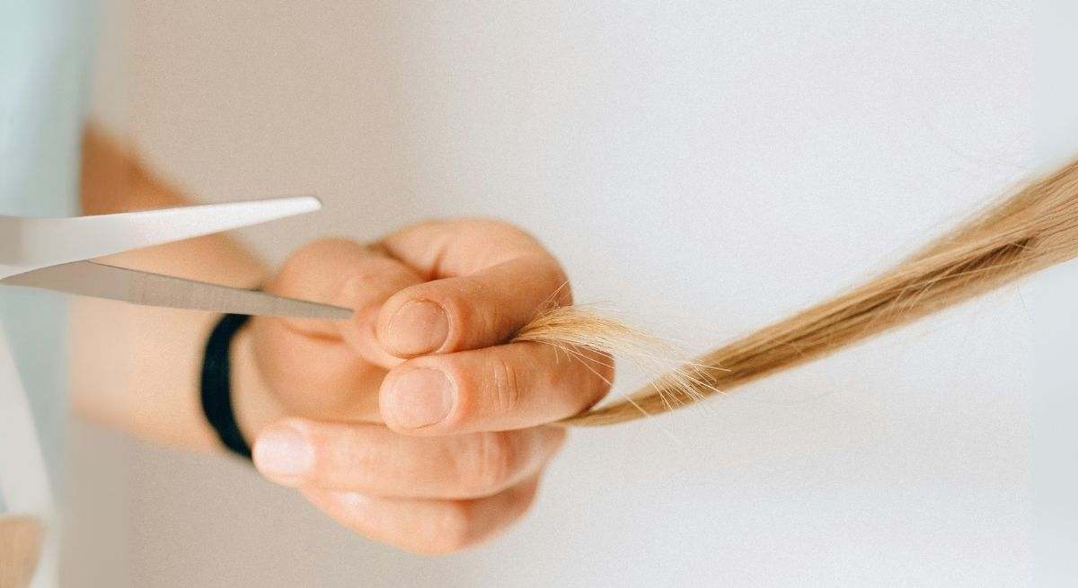 corte-de-pelo-en-seco-.jpg