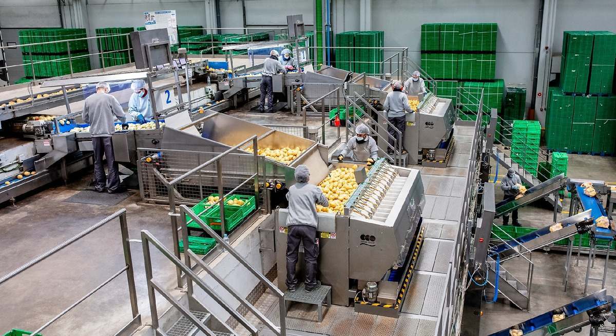 Varias personas trabajan en un Mercadona