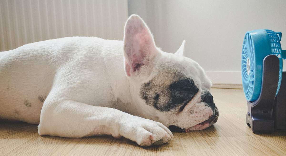 dormir-con-calor.jpg