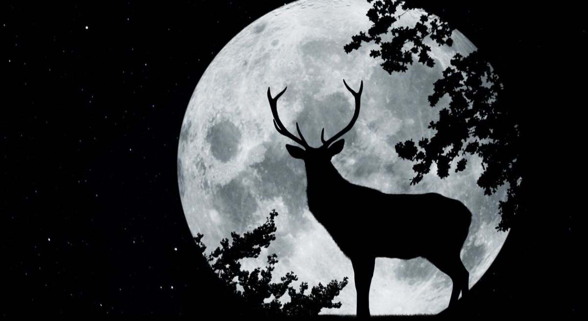 Luna llena del ciervo en el mes de julio. / Foto: iStock
