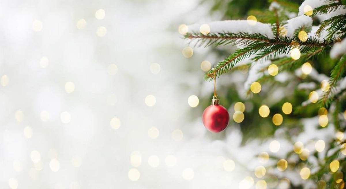 1200-x-655-Navidad.jpg
