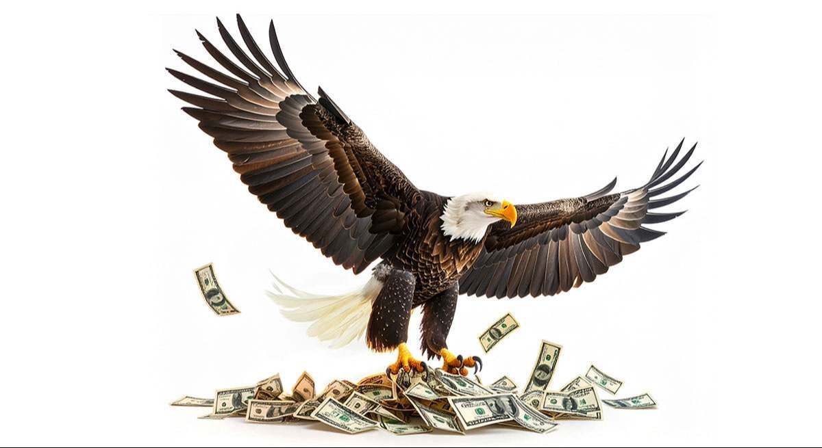 dolar ave fénix