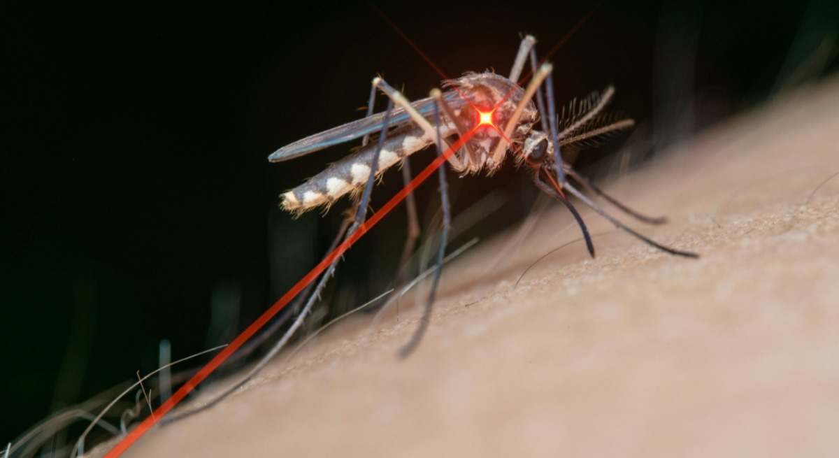 Adiós a las picaduras de mosquito este verano.