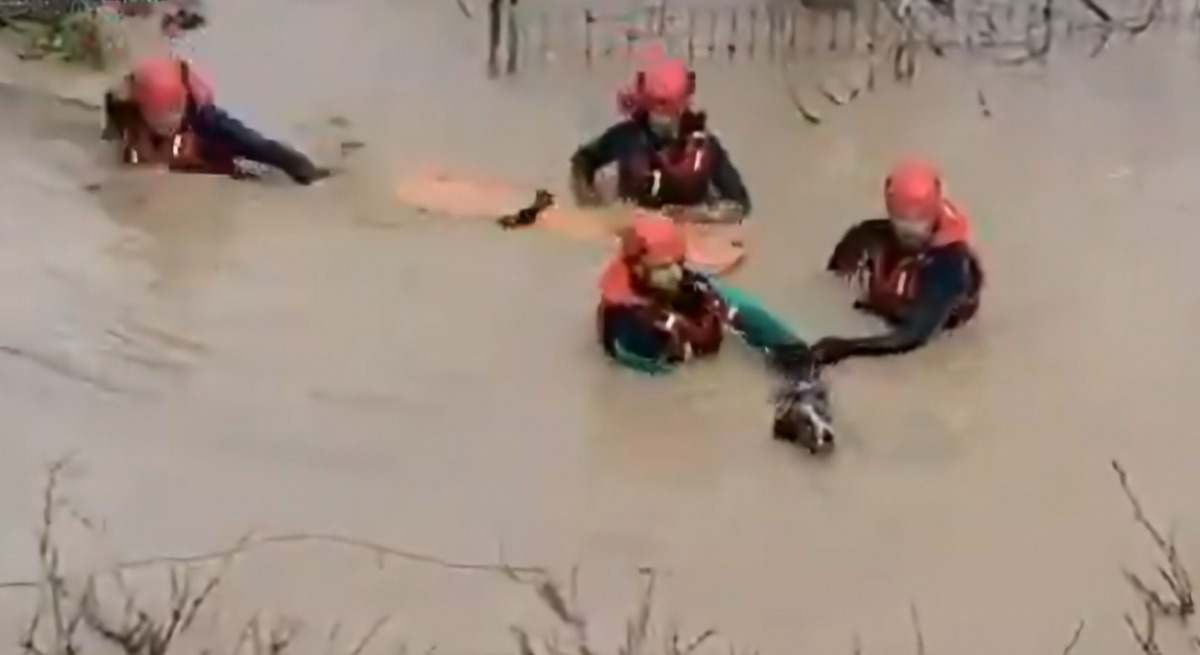 Rescates de SEPRONA. / Foto: Guardia Civil.
