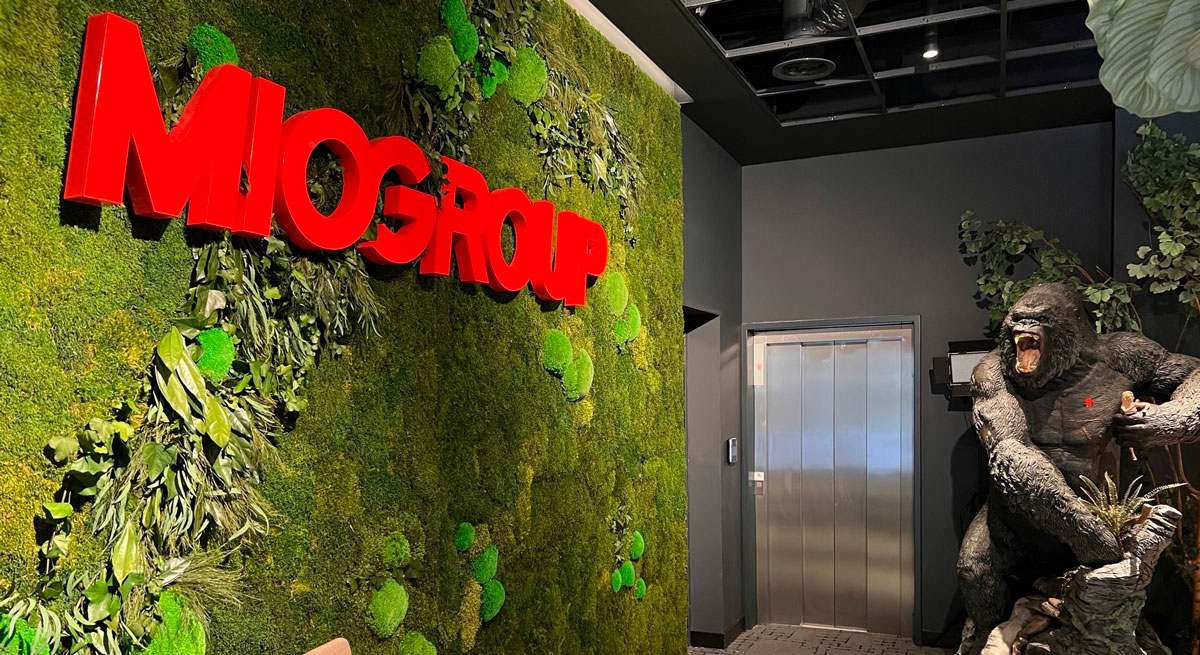 Miogroup-1.jpg