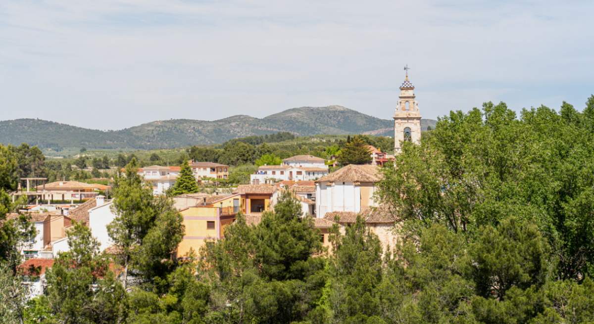 alfafara-cagada-burro.jpg