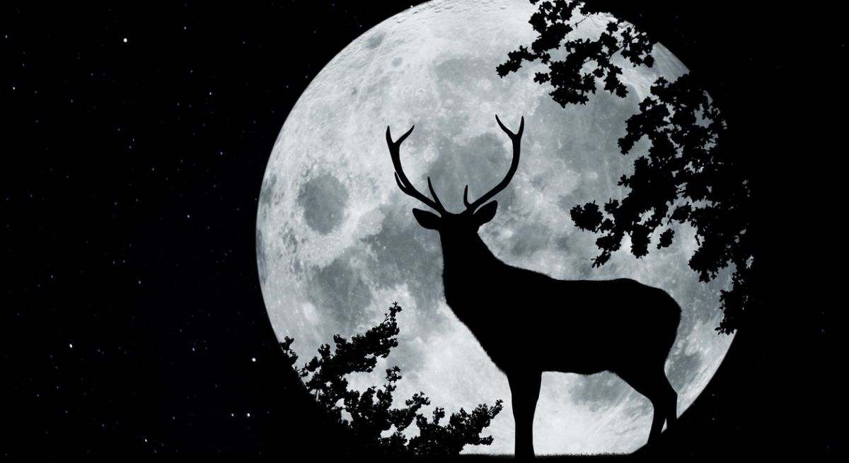 luna-llena-de-ciervo-istock.jpg