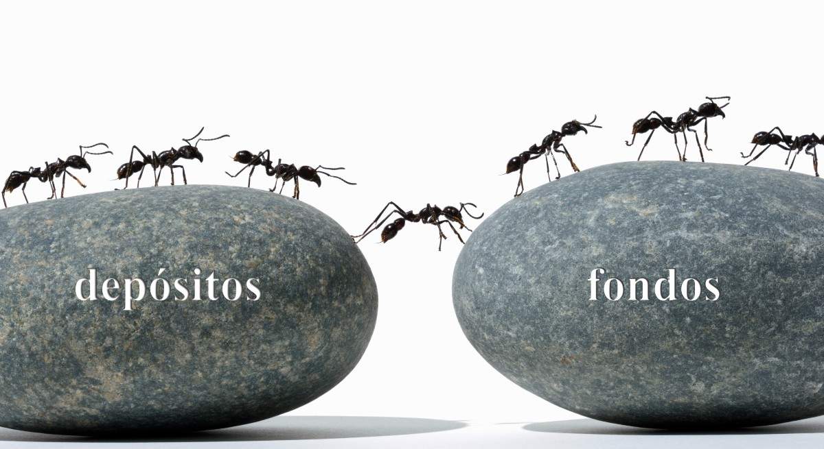 depositos-fondos.jpg