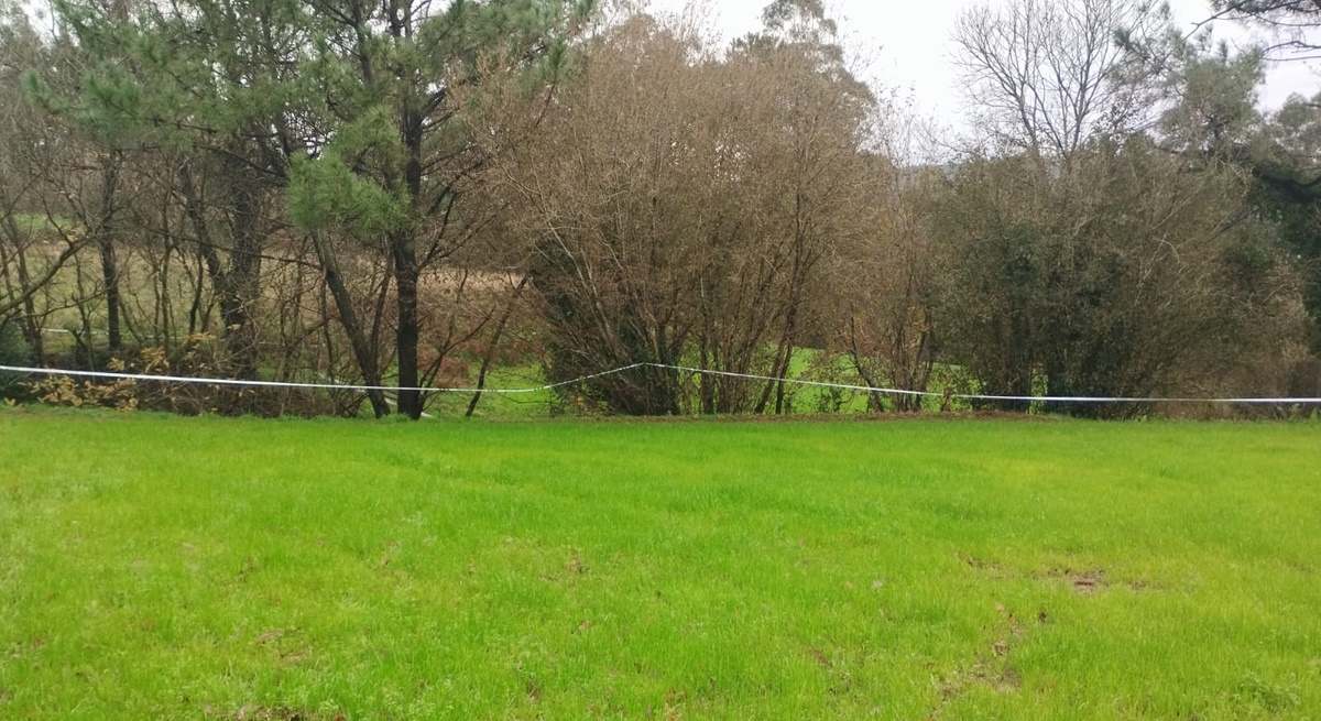 ZONA PERIMETRADA EN MAZARICOS