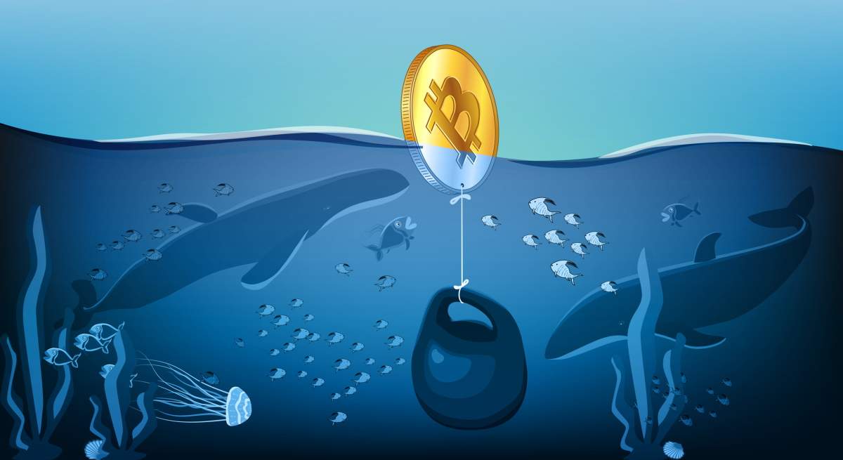 ballenas-btc-gambas-istock.jpg