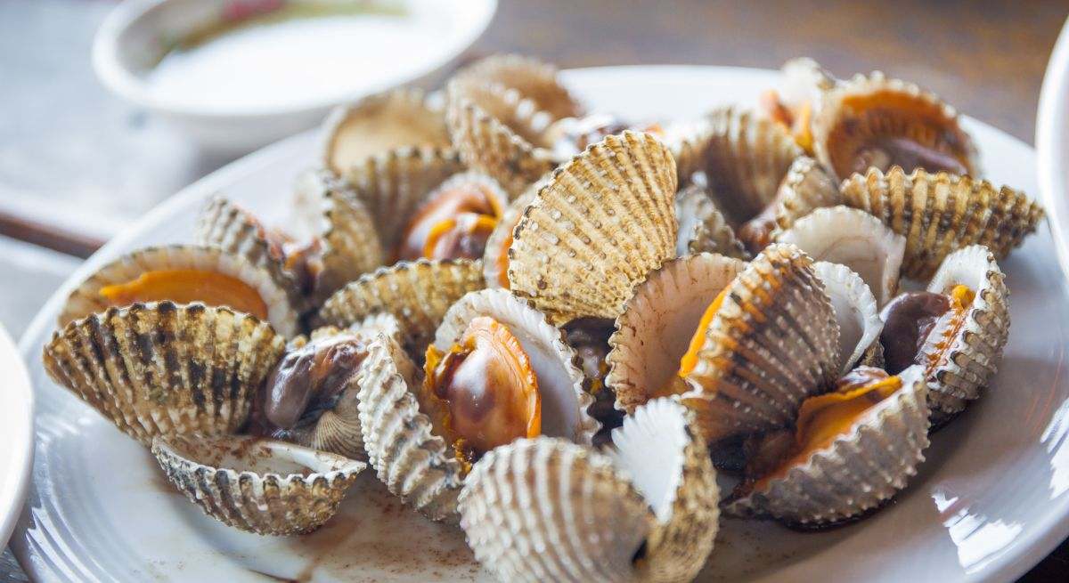 Plato de berberechos abiertos