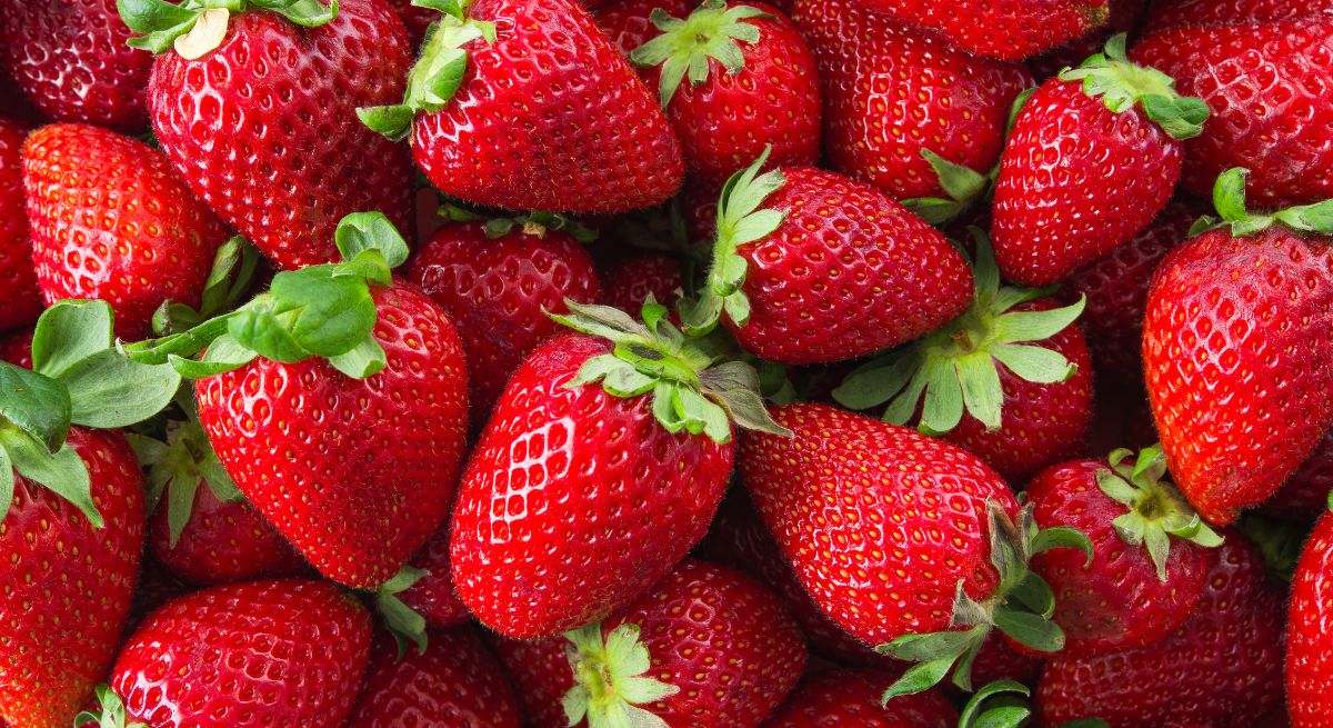 Las fresas son uno de los alimentos más conocidos a nivel mundial