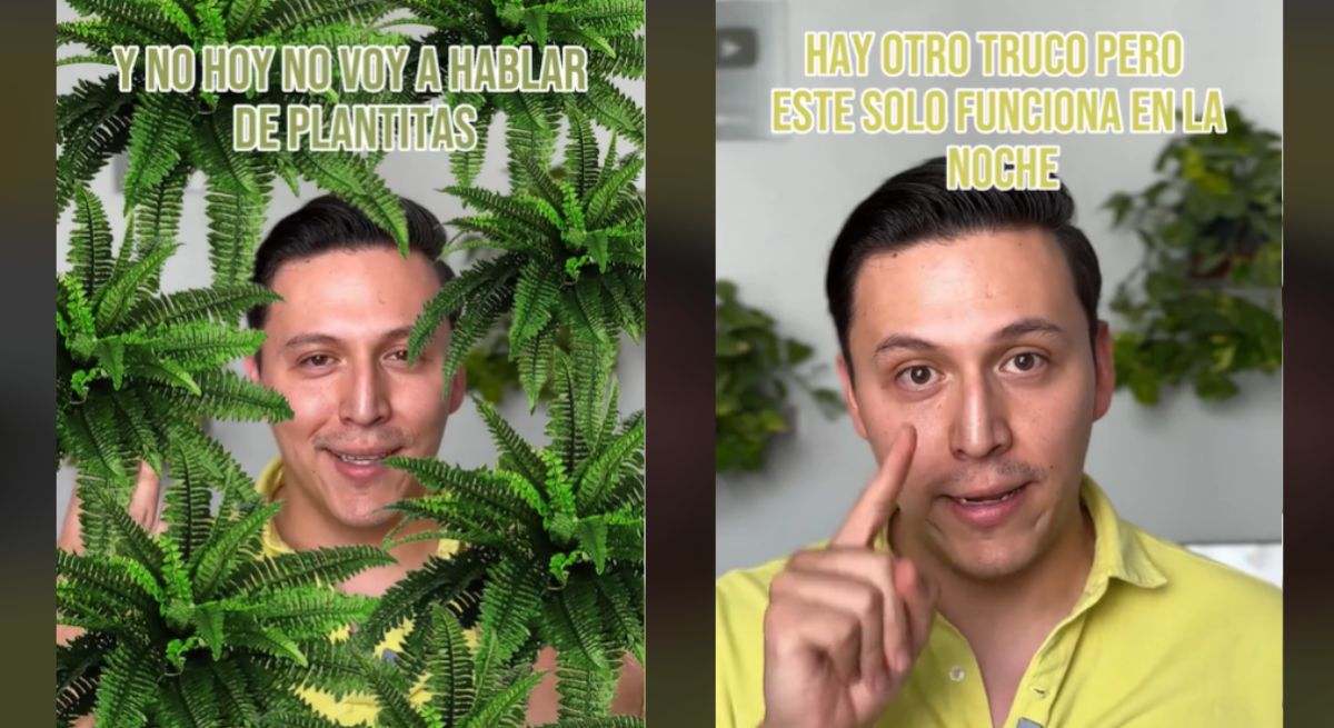 Un arquitecto de camiseta amarilla habla sobre las dos opciones para conservar el frío