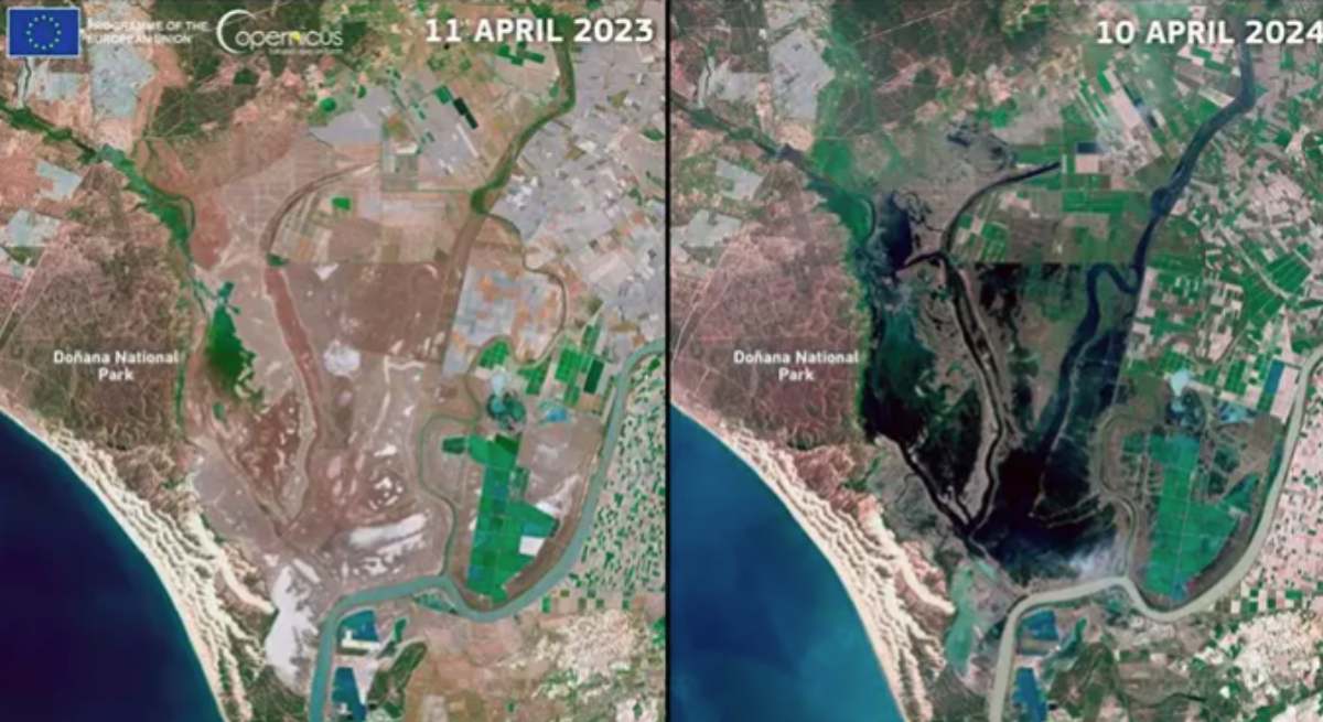 La imagen de Copernicus captada sobe Doñana