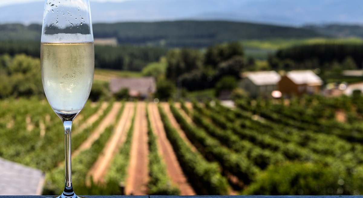 La sequía está golpeando al cava