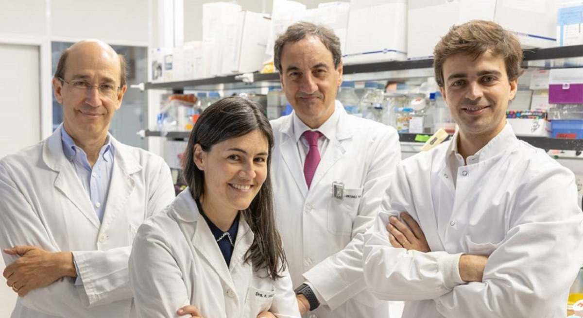 Investigadores del CCUN.