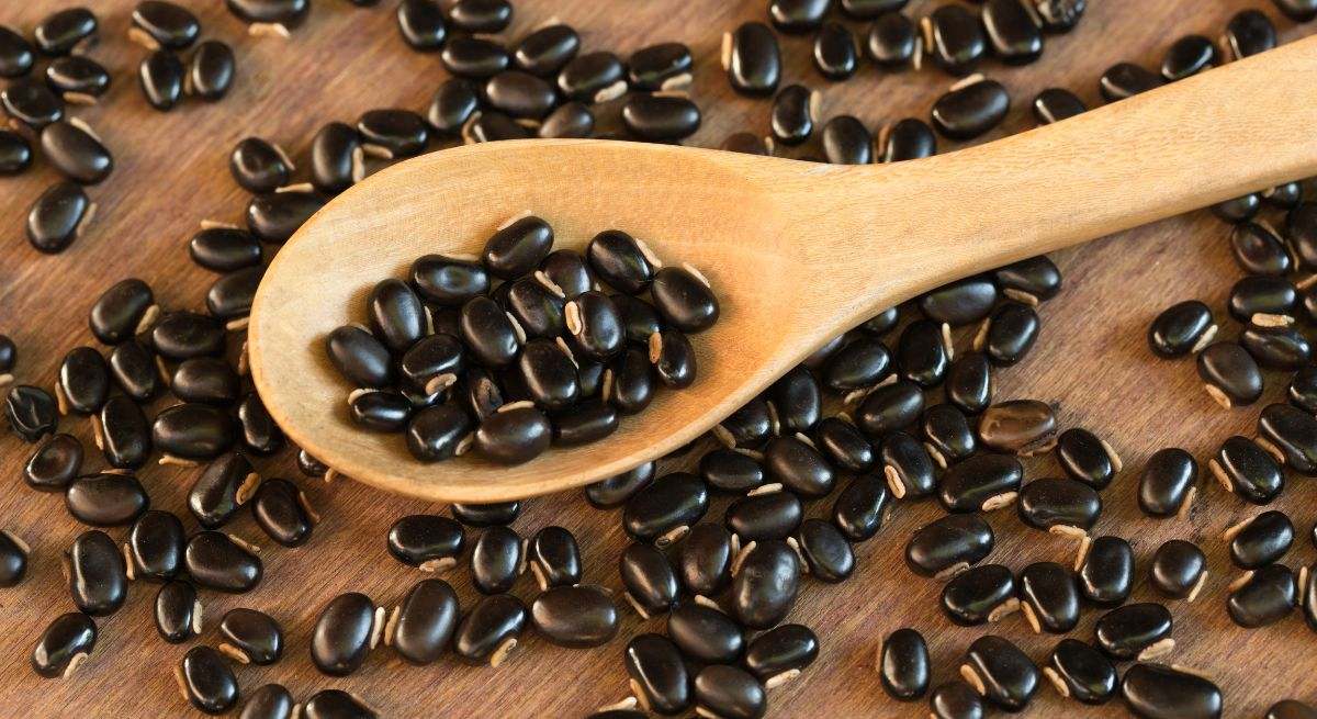 Mucuna