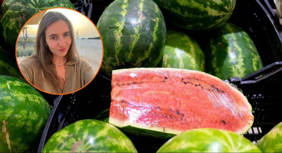 sandia-canva