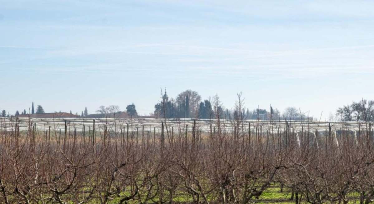 subvenciones seguro agrario aragon