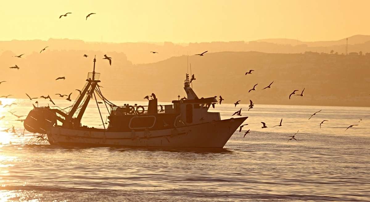 Un barco faenando al amanecer / EP