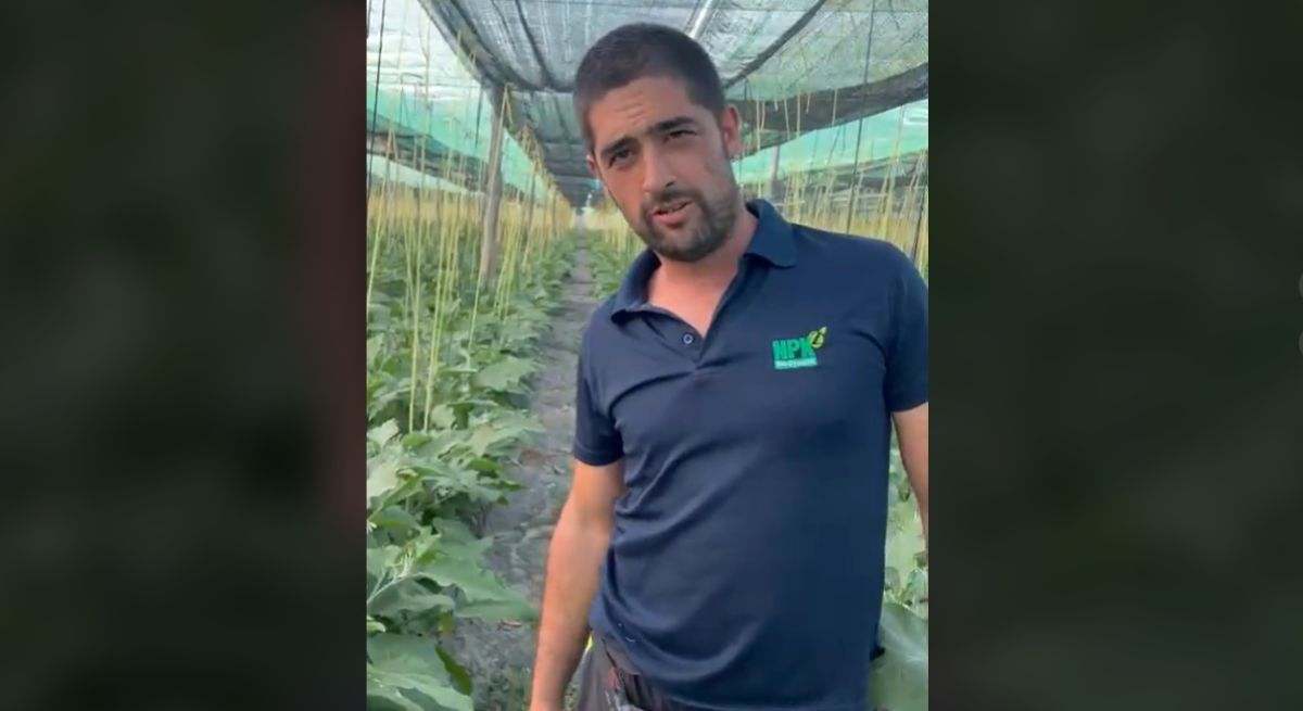 agricultor-corta-curro.jpg