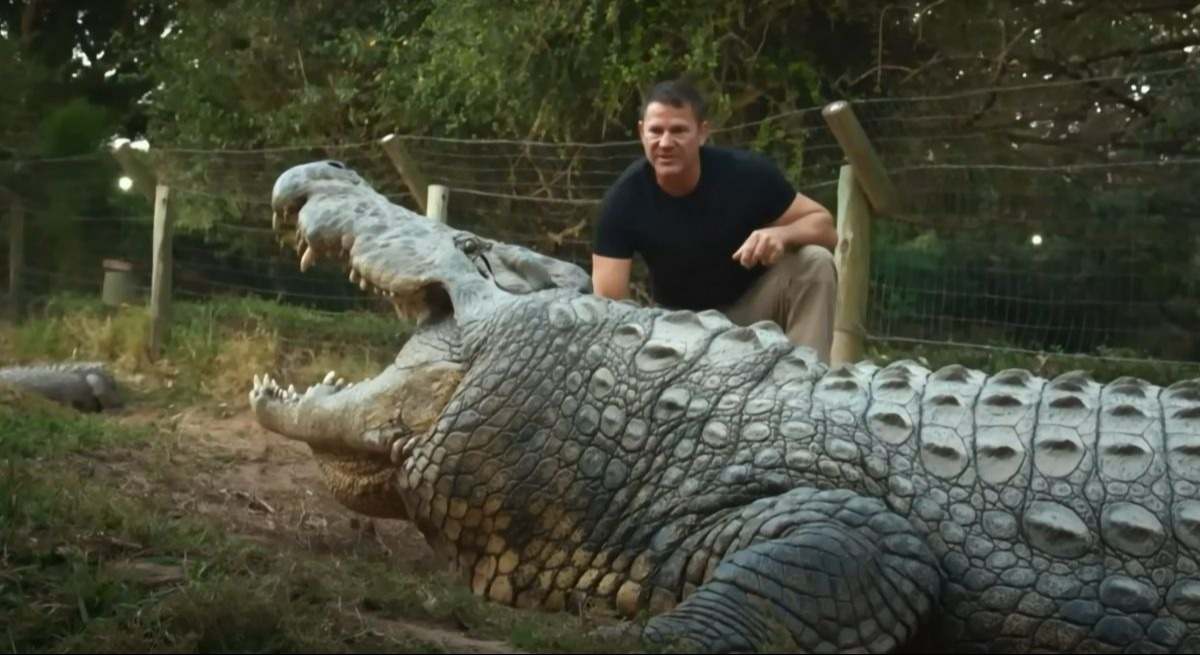 Henry, el cocodrilo más antiguo del mundo