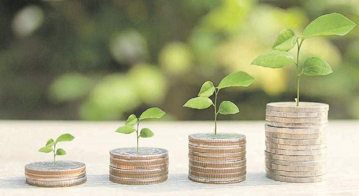 semilla-dinero-verde-crece-istock-770x420.jpg