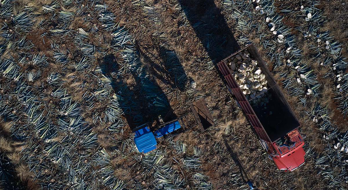 DJI_0137_00.jpg