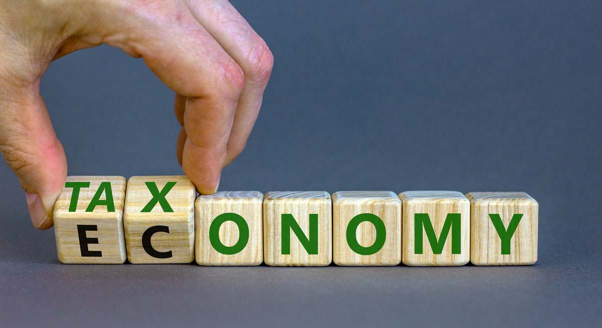 taxo.jpg