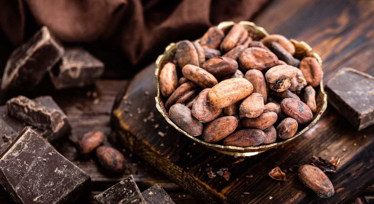 Granos de cacao.