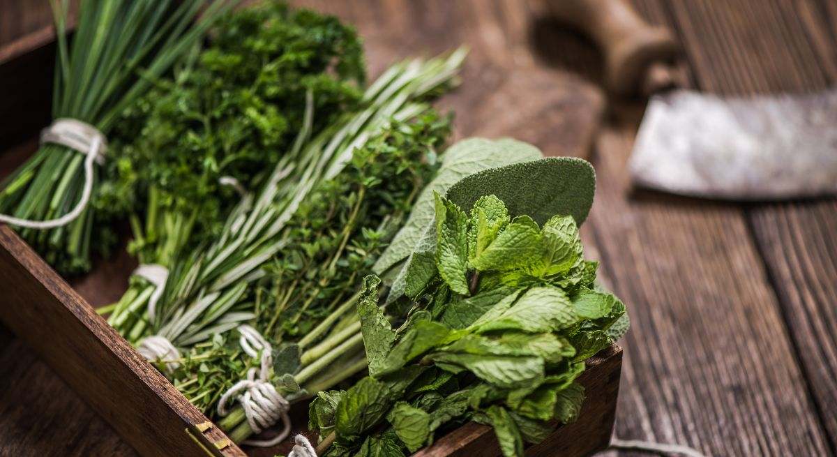 Varias hierbas aromáticas en una mesa de madera