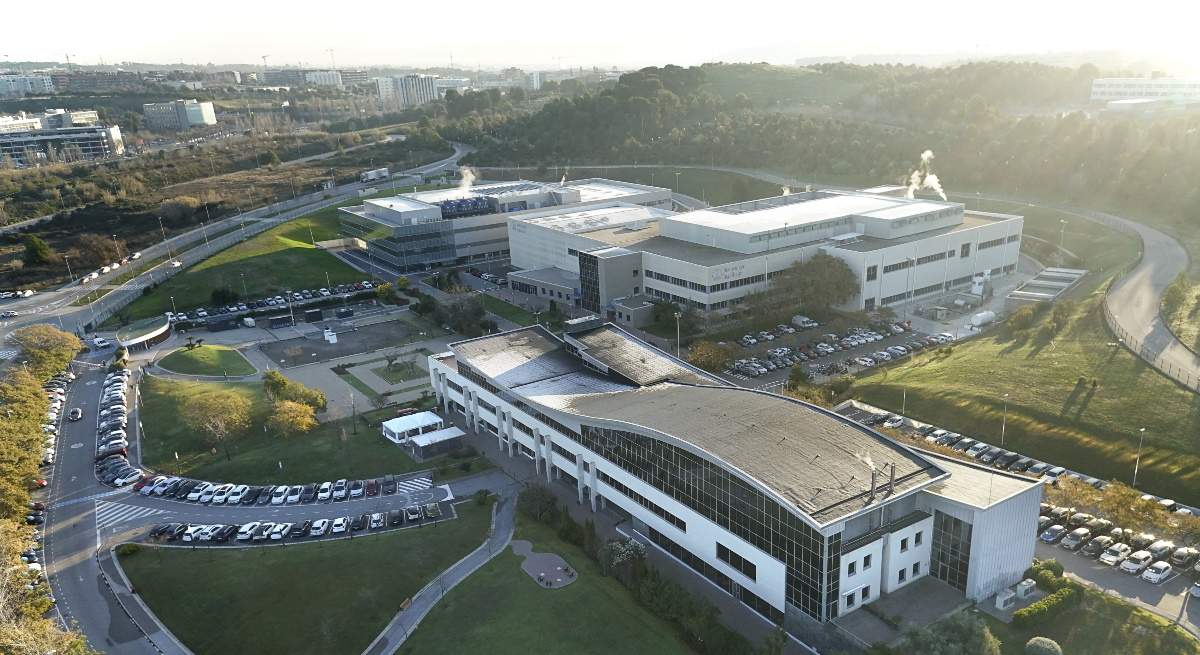 Boehringer-Ingelheim_Hub-Digital.jpg