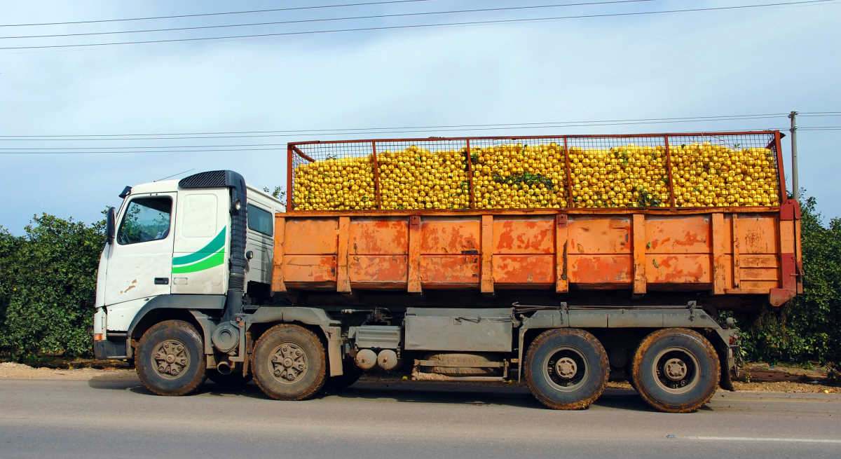 camion-transporte-naranjas