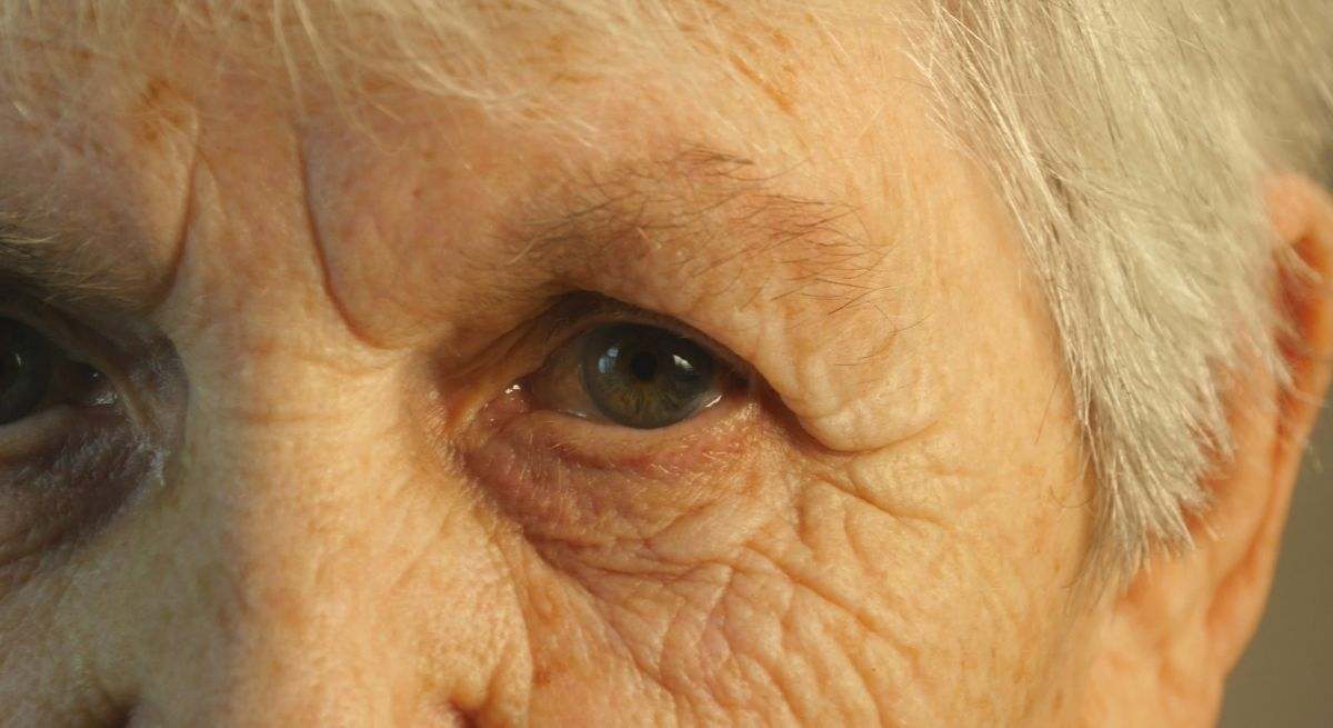 tres-factores-vejez-edad-biologica-dreamstime.jpg