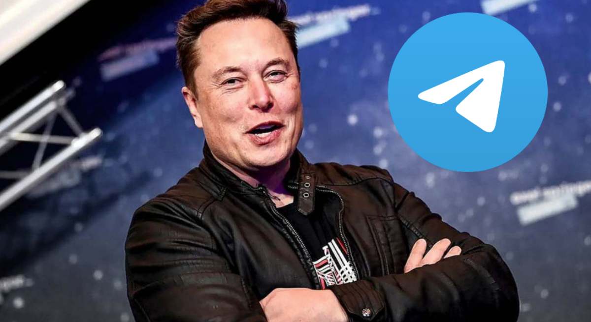 musk telegram