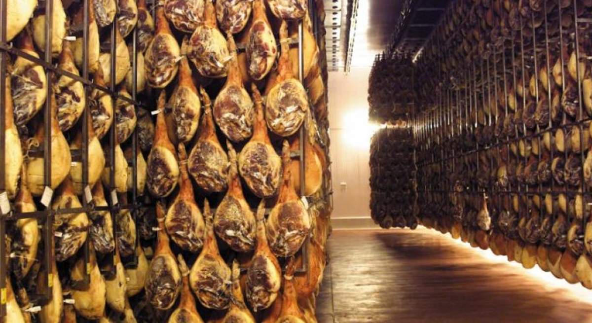 agroalimentacion teruel