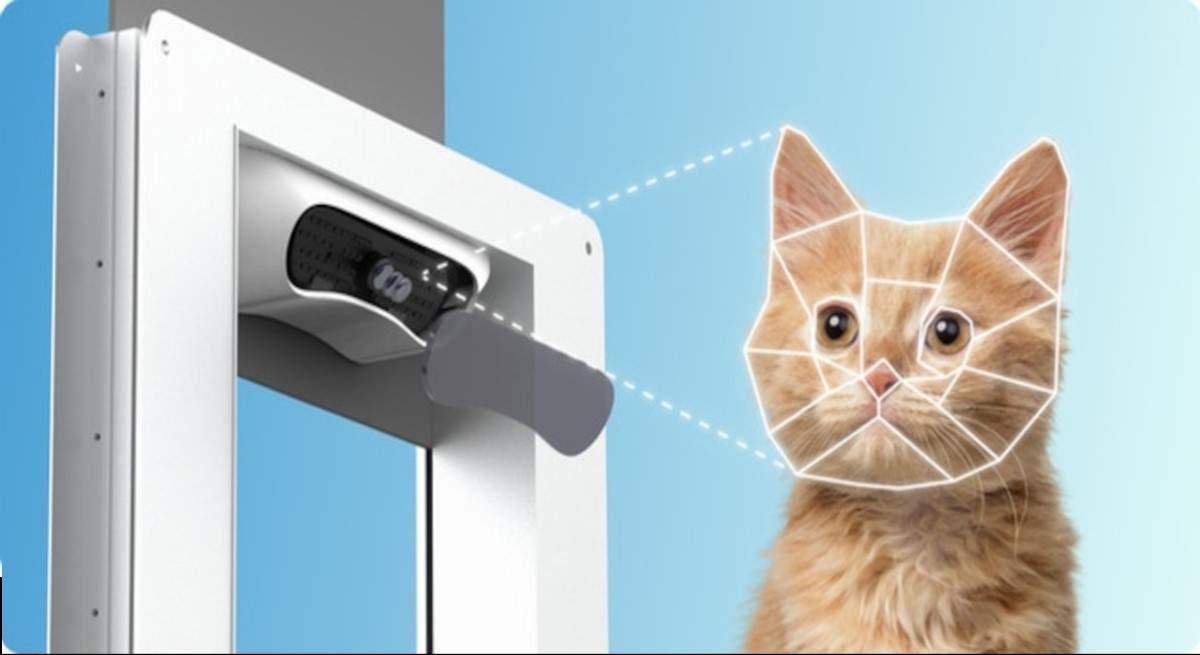 puerta-mascotas.jpg