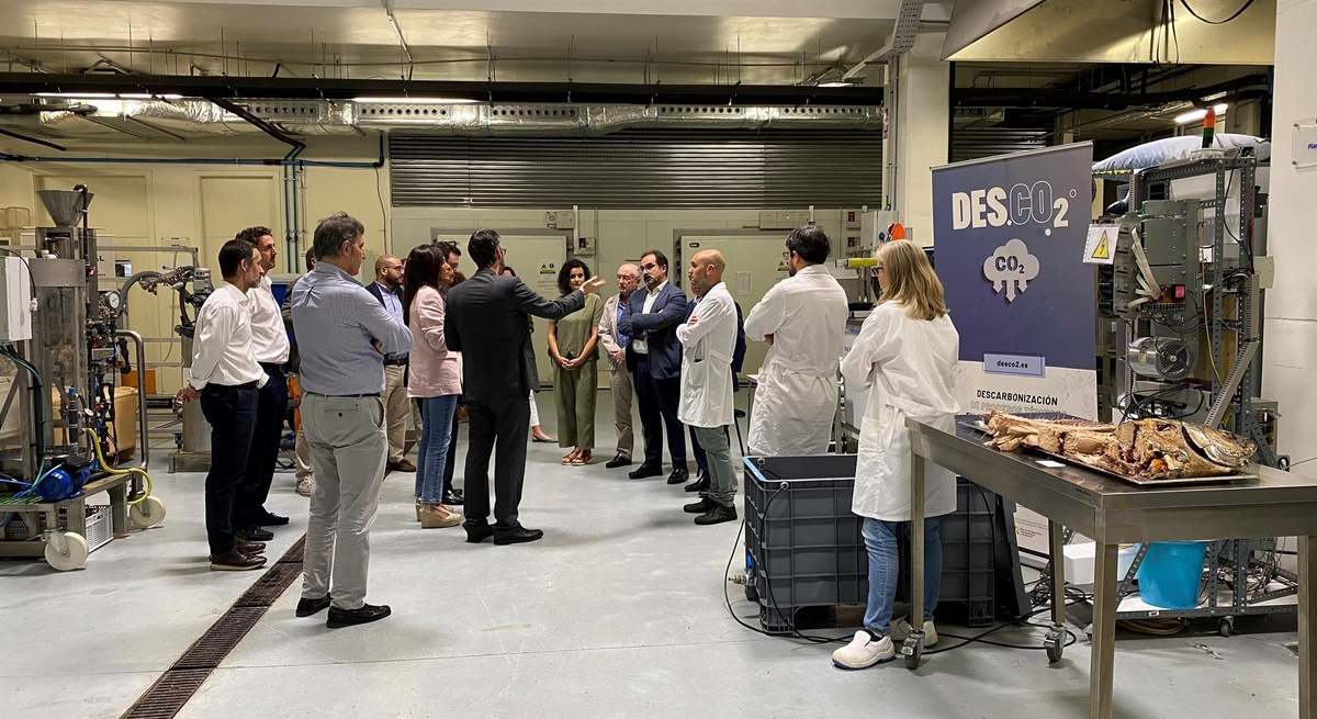 CONSEJO RECTOR ANFACO CECOPESCA