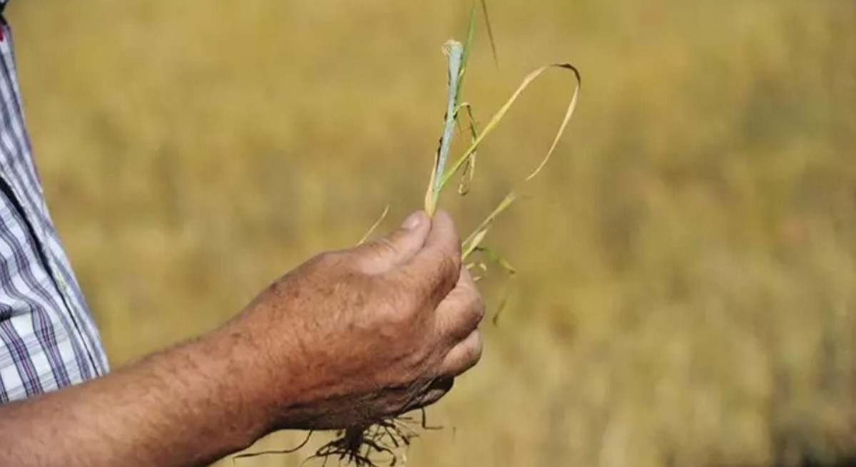 prestamos sequia agricultura