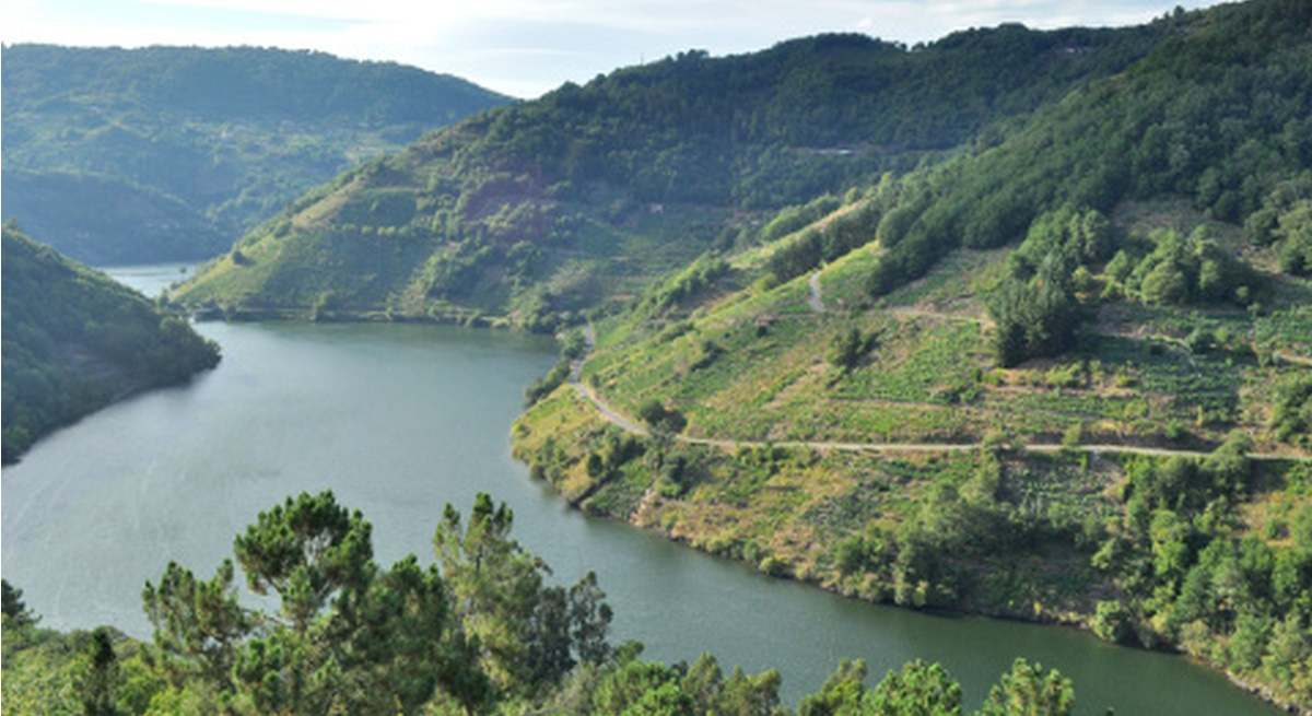 Paisaje de los Cañones del Sil en la Ribeira Sacra.