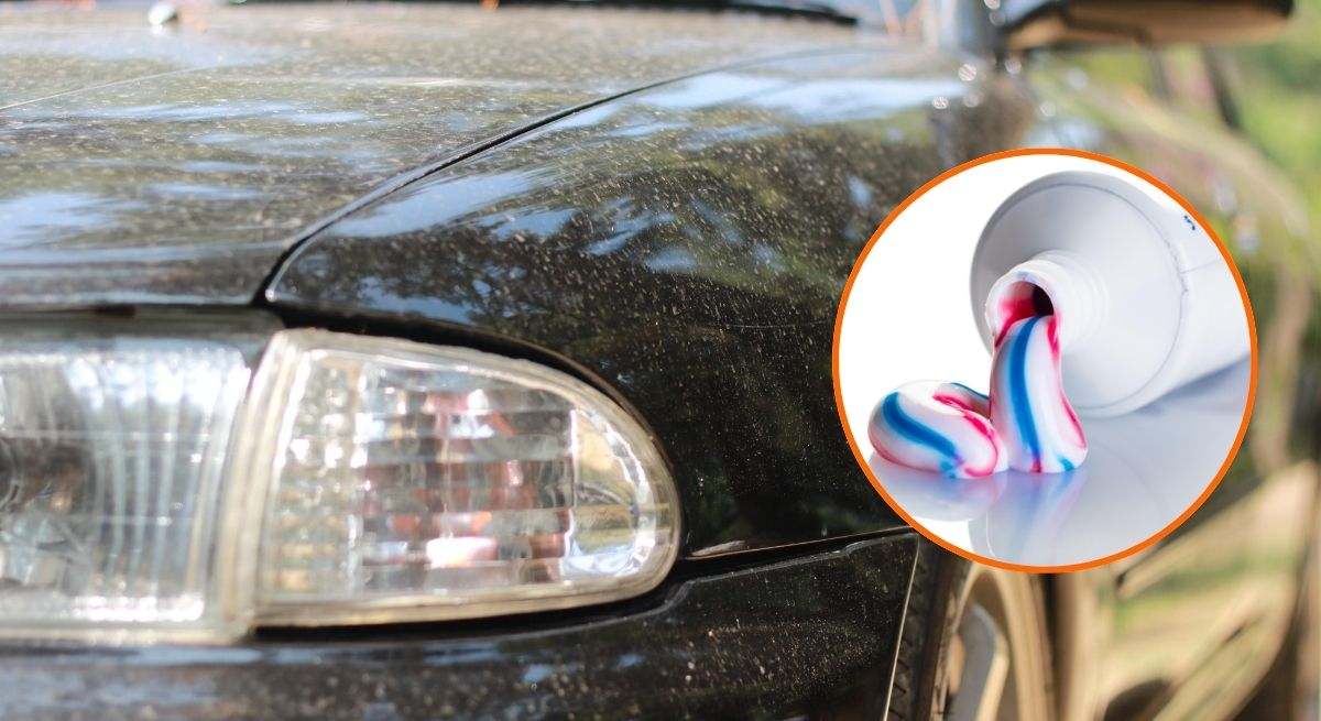 Pasta de dientes coche