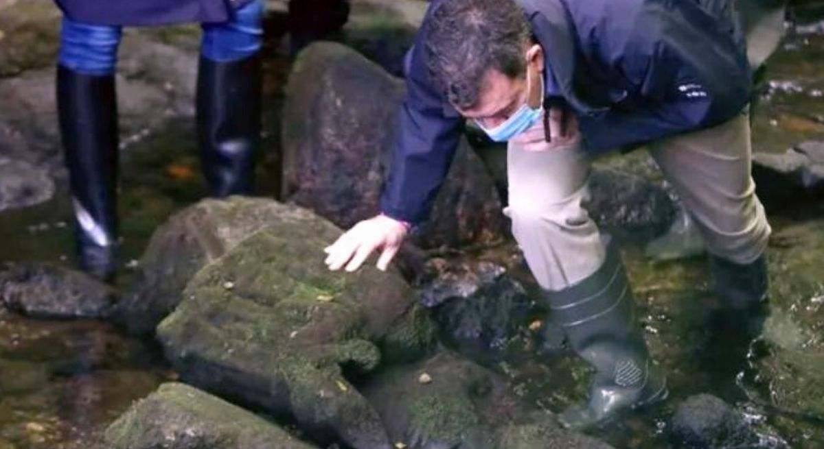 Cazatesoro por accidente: un pescador gallego va a por truchas al río y se tropieza con una virgen gótica de alto valor