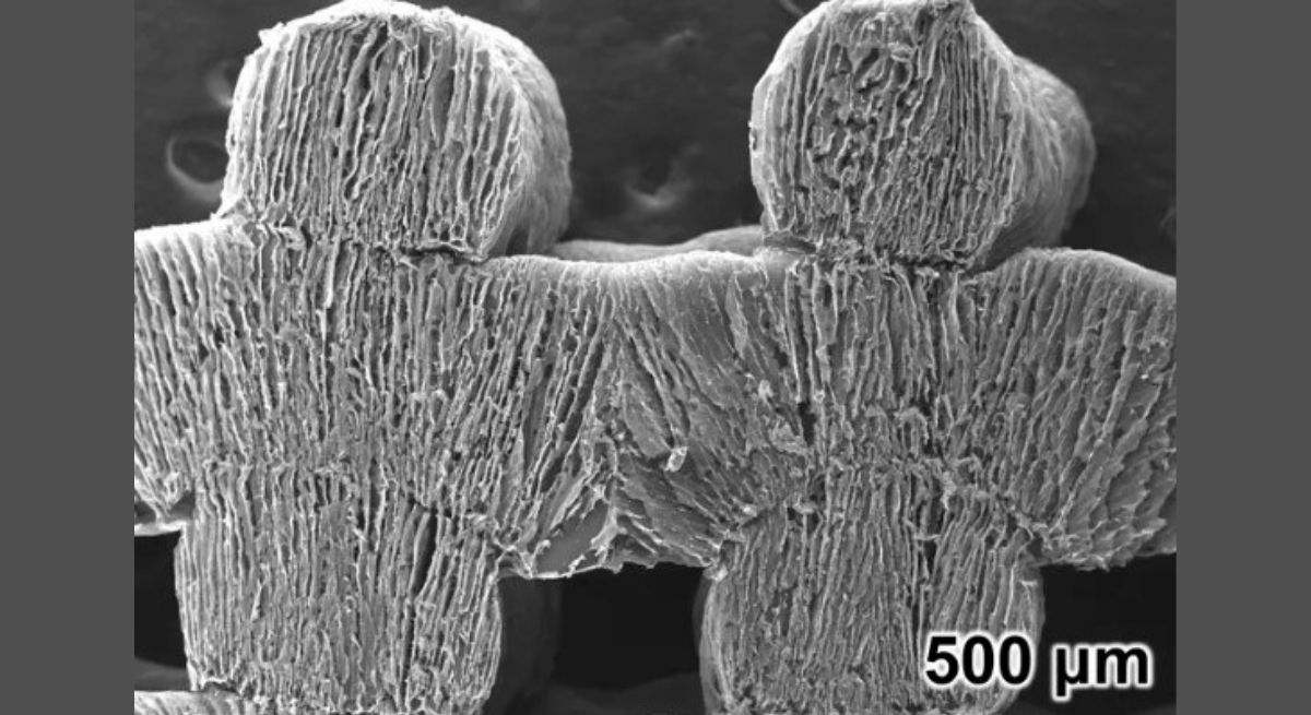 Material impreso en 3D que absorbe el agua del mar y la purifica convirtiéndola en agua sin sal. / Foto: EP