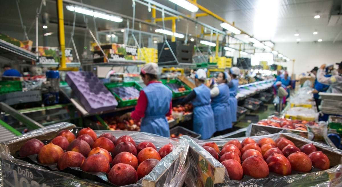 mujer empleo industria agroindustria