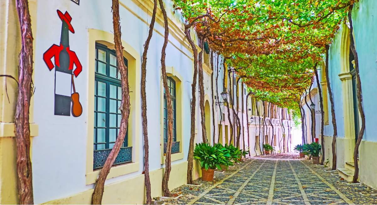 callejon-ciegos.jpg
