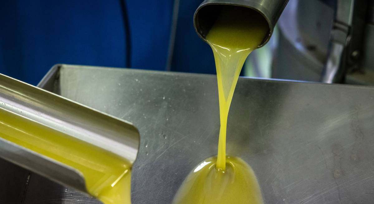 aceite oliva