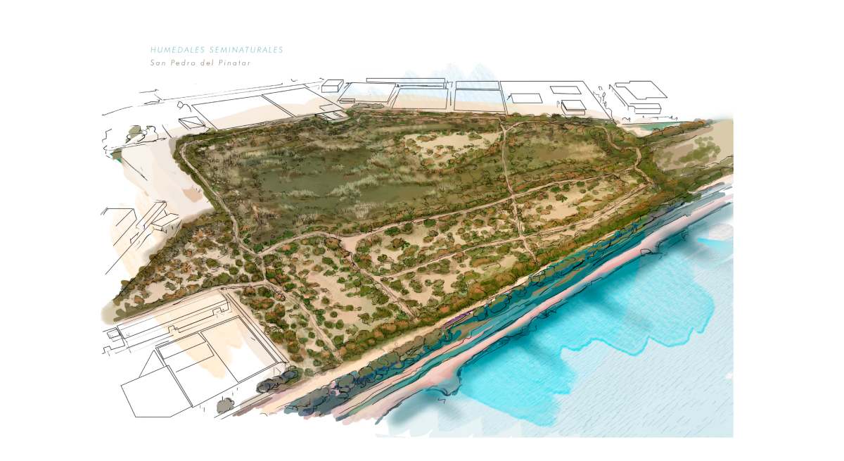 Representación del proyecto de humedales "seminaturales" del MAPMM