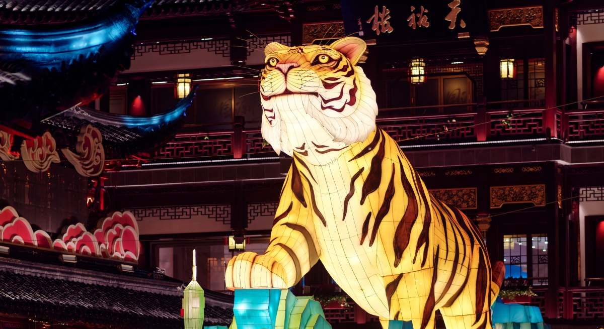 tigre-china-linterna-istock.jpg