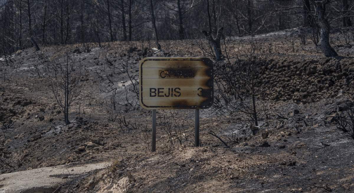 cartel_bejis_calcinados_20_agosto_2022-incendio-ep-1200x655.jpg
